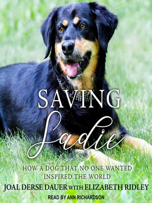 cover image of Saving Sadie